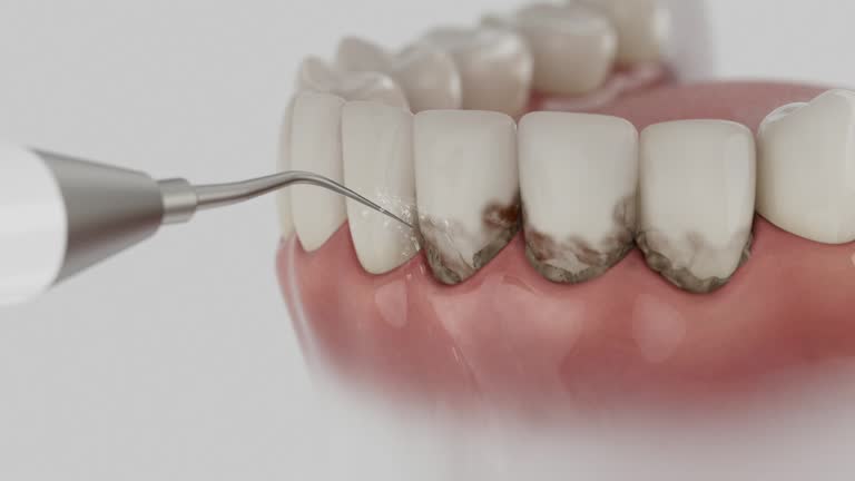 Reliable Dental contractor in Wallis, TX by Dentist Open Now